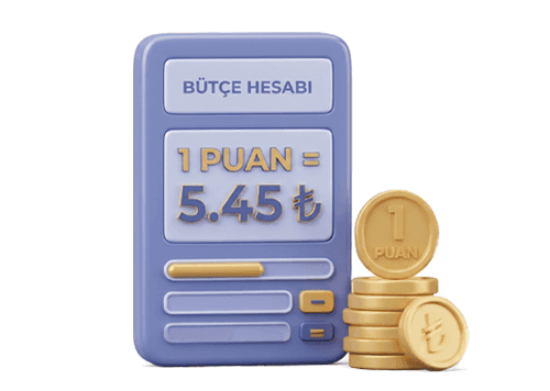 Loyalty Program Budget Planner